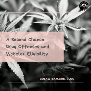 Image with plant background and title of blog