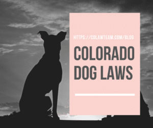 Colorado Dog Laws